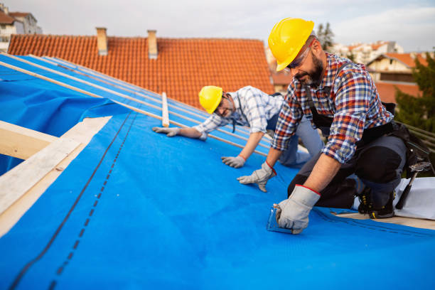 Best Metal Roofing Contractor  in Lake Sconsin, WI