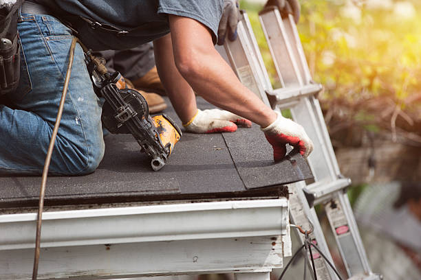 Best Roof Gutter Cleaning  in Lake Sconsin, WI
