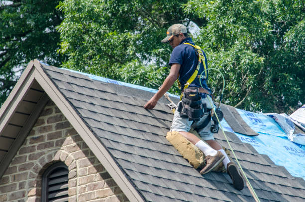 Best Roof Waterproofing Services  in Lake Sconsin, WI